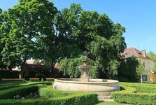 Zámecký park Hradiště v Blovicích zůstává dočasně uzavřen z bezpečnostních důvodů Zámecký park Hradiště v Blovicích zůstává dočasně uzavřen z bezpečnostních důvodů