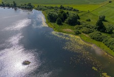 Na hladině Velké Strany vznikl první plovoucí ostrov v Plzeňském kraji. Pomůže ptákům i přírodě
